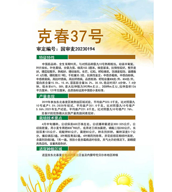 克春37
